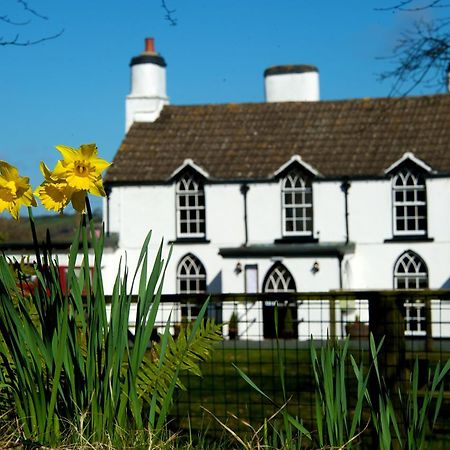 Tudor Lodge Bed & Breakfast Manorbier Ngoại thất bức ảnh