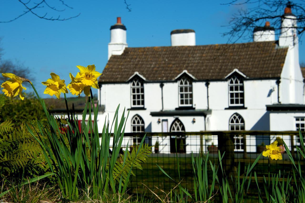 Tudor Lodge Bed & Breakfast Manorbier Ngoại thất bức ảnh